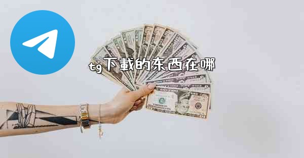 tg下載的东西在哪