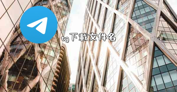tg下載文件名