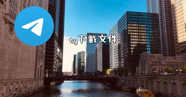 tg下載文件