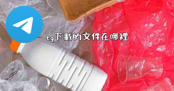 tg下載的文件在哪裡