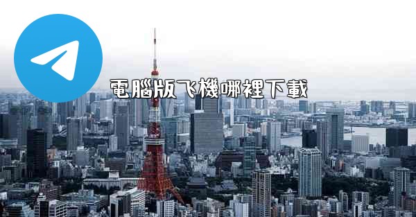 電腦版飞機哪裡下載