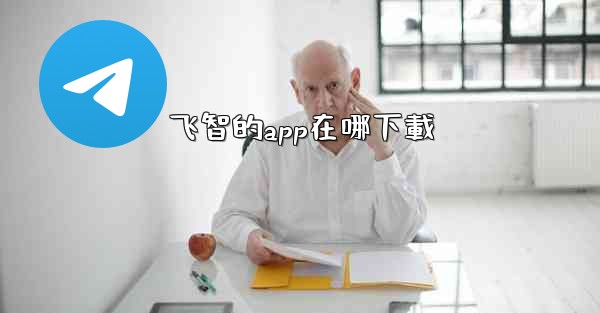 飞智的app在哪下載