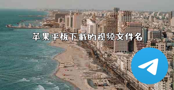 苹果平板下載的视频文件名