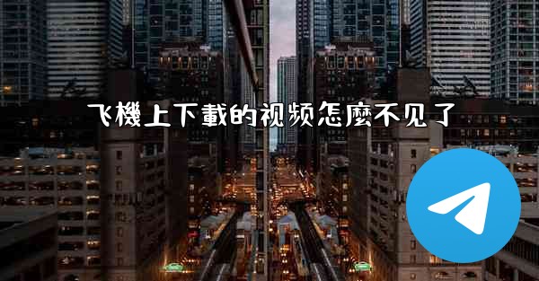 飞機上下載的视频怎麼不见了