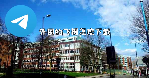 外國的飞機怎麼下載