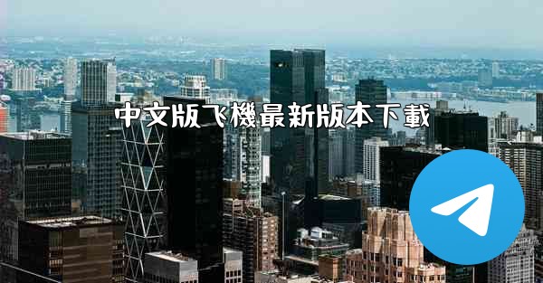 中文版飞機最新版本下載