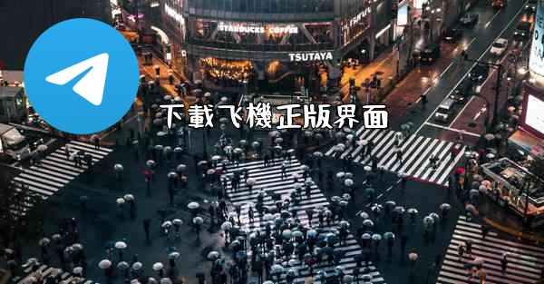 下載飞機正版界面