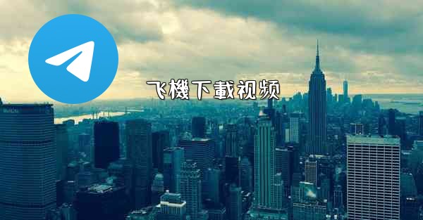 飞機下載视频
