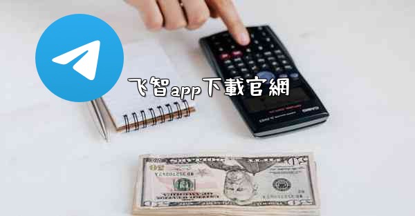 飞智app下載官網