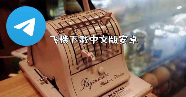 飞機下載中文版安卓