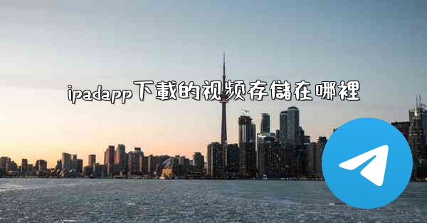 ipadapp下載的视频存儲在哪裡