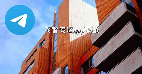 飞智专属app下載