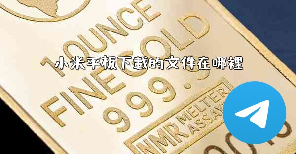 小米平板下載的文件在哪裡