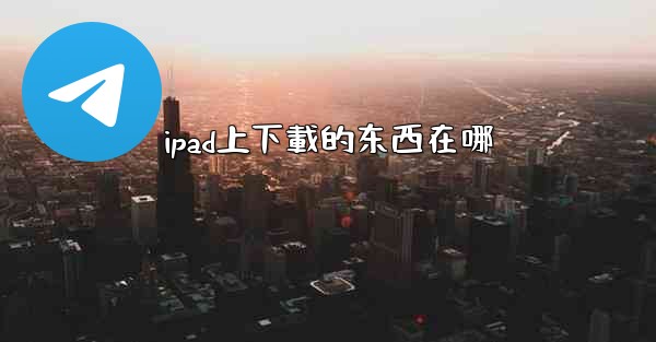 ipad上下載的东西在哪