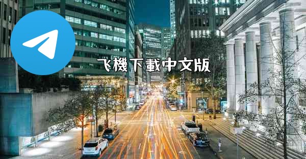 飞機下載中文版