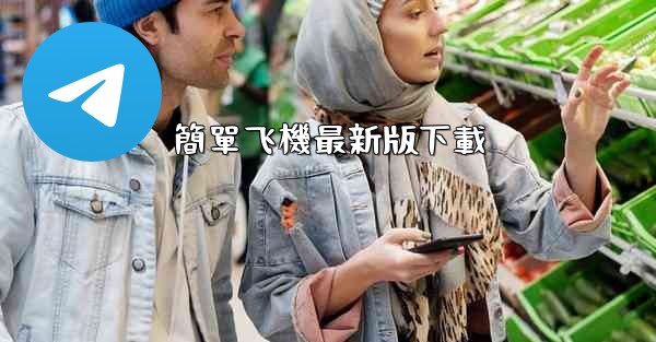 簡單飞機最新版下載