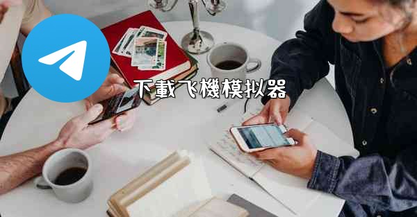 下載飞機模拟器