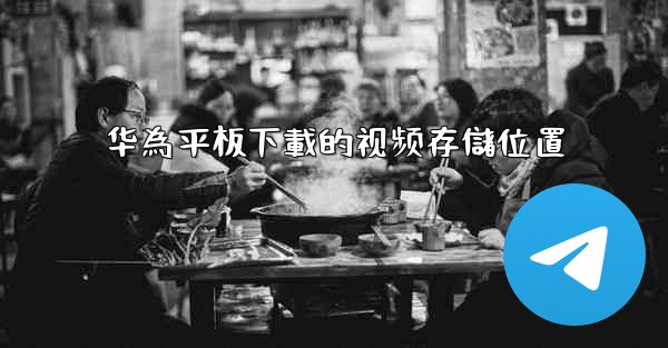 华為平板下載的视频存儲位置