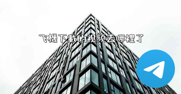 飞機下載的视频去哪裡了