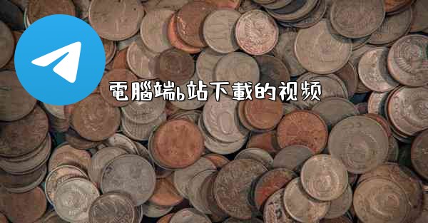 電腦端b站下載的视频