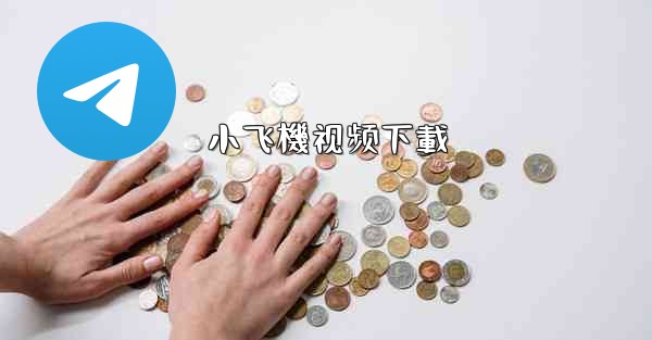 小飞機视频下載