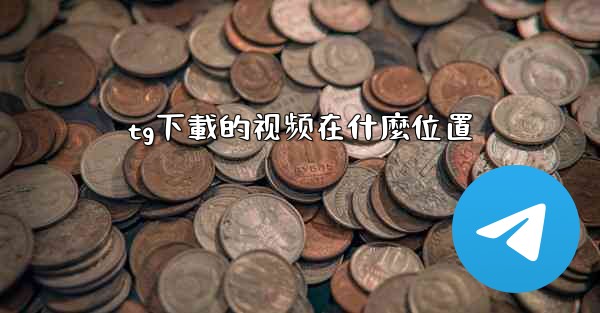 tg下載的视频在什麼位置