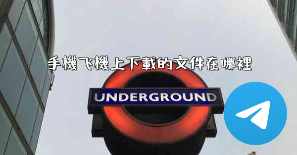 手機飞機上下載的文件在哪裡