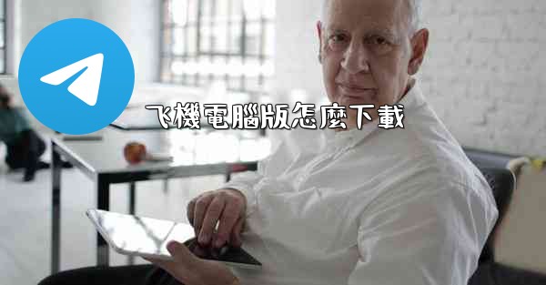 飞機電腦版怎麼下載