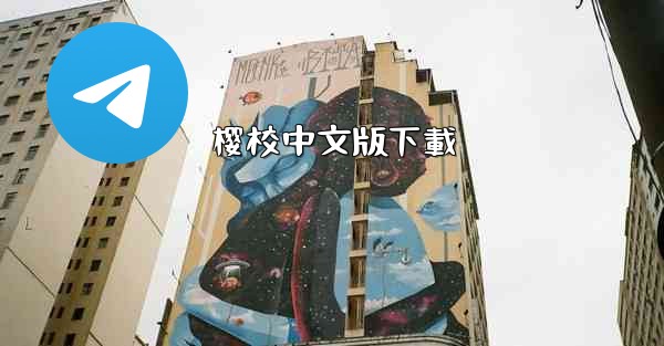 樱校中文版下載