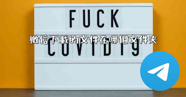 微信下載的文件在哪個文件夹