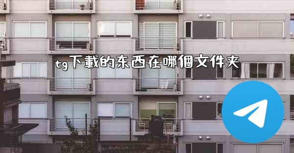 tg下載的东西在哪個文件夹