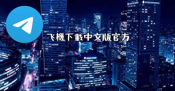 飞機下載中文版官方