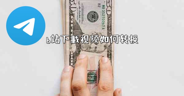 b站下載视频如何转换