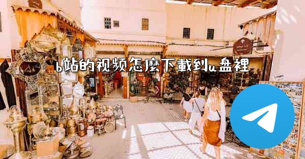 b站的视频怎麼下載到u盘裡