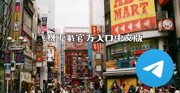 飞機下載官方入口中文版