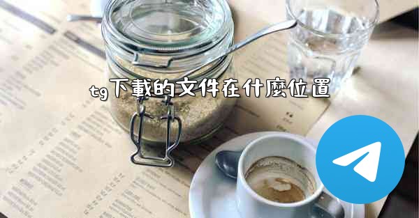 tg下載的文件在什麼位置