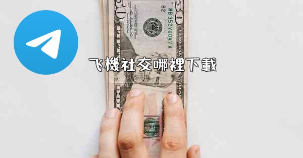 飞機社交哪裡下載