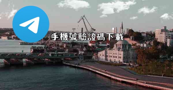 <b>手機號驗證碼下載</b>