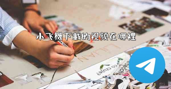 小飞機下載的视频在哪裡