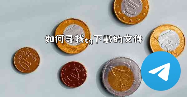 如何寻找tg下載的文件