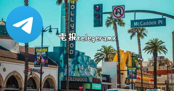 電报telegeramx