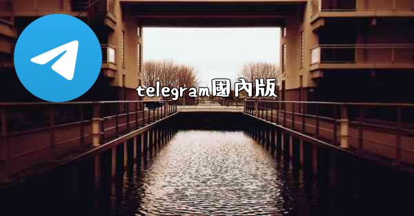 telegram國內版