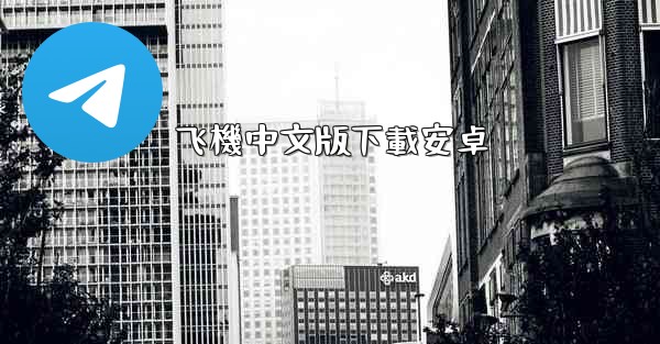 飞機中文版下載安卓