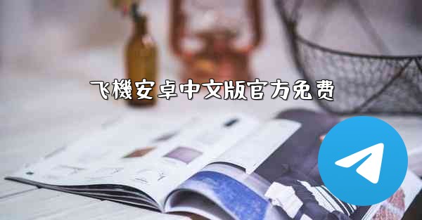 飞機安卓中文版官方免费