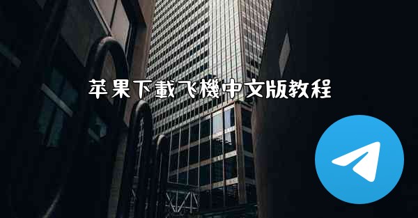 苹果下載飞機中文版教程