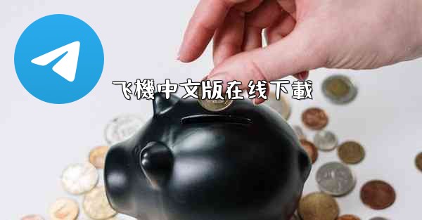 飞機中文版在线下載