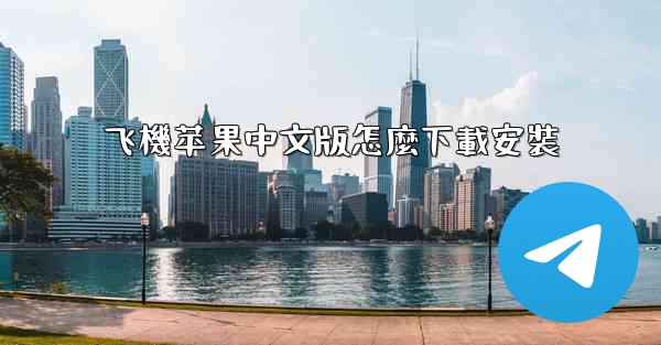 飞機苹果中文版怎麼下載安裝