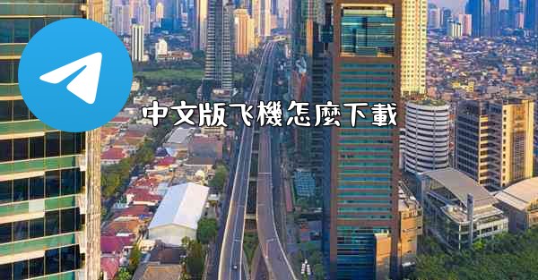 中文版飞機怎麼下載