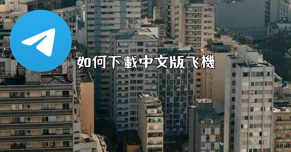 如何下載中文版飞機