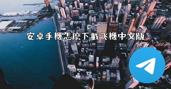安卓手機怎麼下載飞機中文版